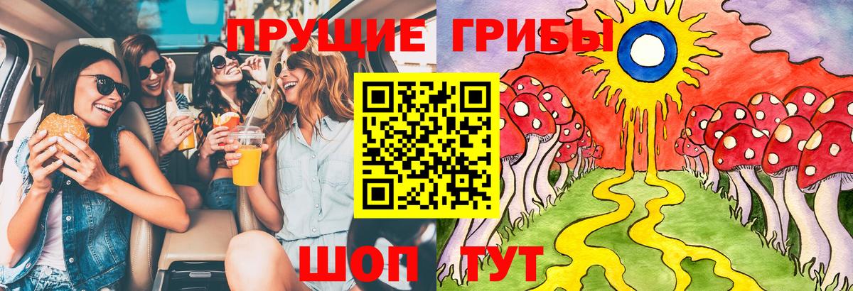 Псилоцибиновые грибы Psilocybe  закладка  Казань  Вход с VPN 